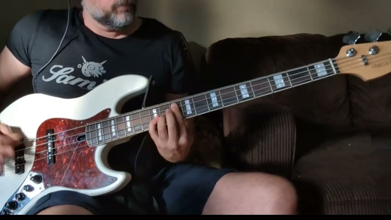 Whippersnapper - A New Chapter - Bass Guitar Cover