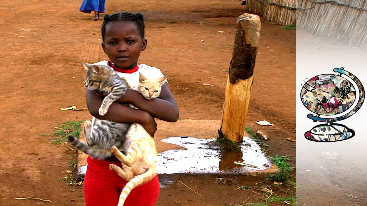 The S. African Animal Charity Helping Pet's Owners