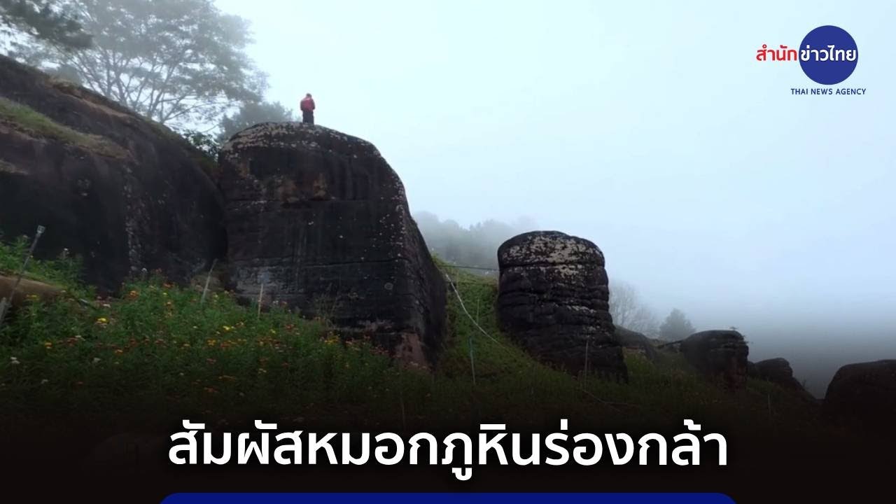 เที่ยวภูหินร่องกล้า สัมผัสหมอก ชมดอกนางพญาเสือโคร่งบาน