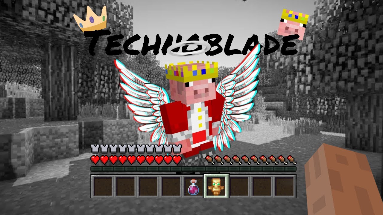 TECHNOBLADE celui qui a forgé LA PLUS GROSSE COMMUNAUTÉ de MINECRAFT