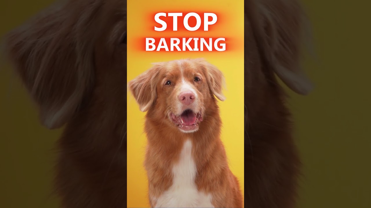 How to STOP Dog Barking Instantly (Proven Method)