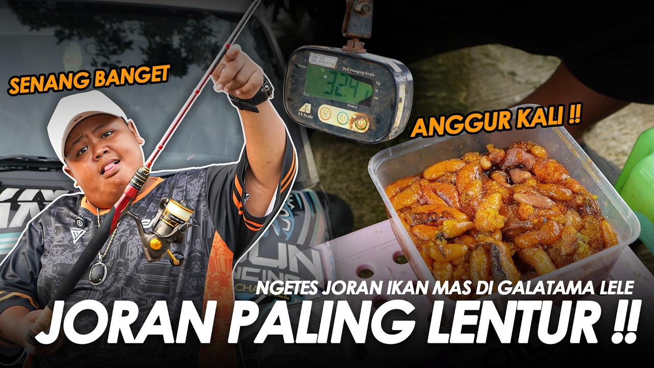 IKANNYA HAMA TAPI TELORNYA MEMPESONA !! KORANG SAMPE PENUH TOTAL TIMBANGAN 32 KILO || BAM#17