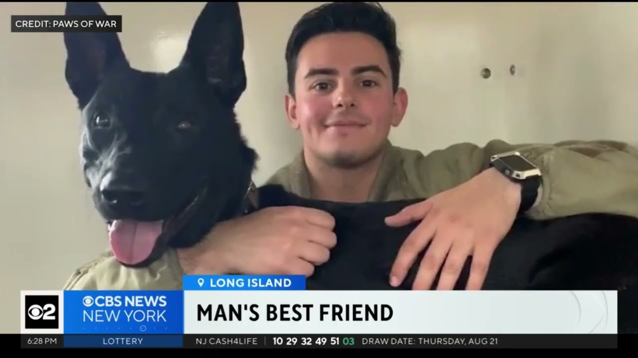 WCBS 2 Covers Paws of War's Reunion for Retired Military Working Dog and Handler After Five Years