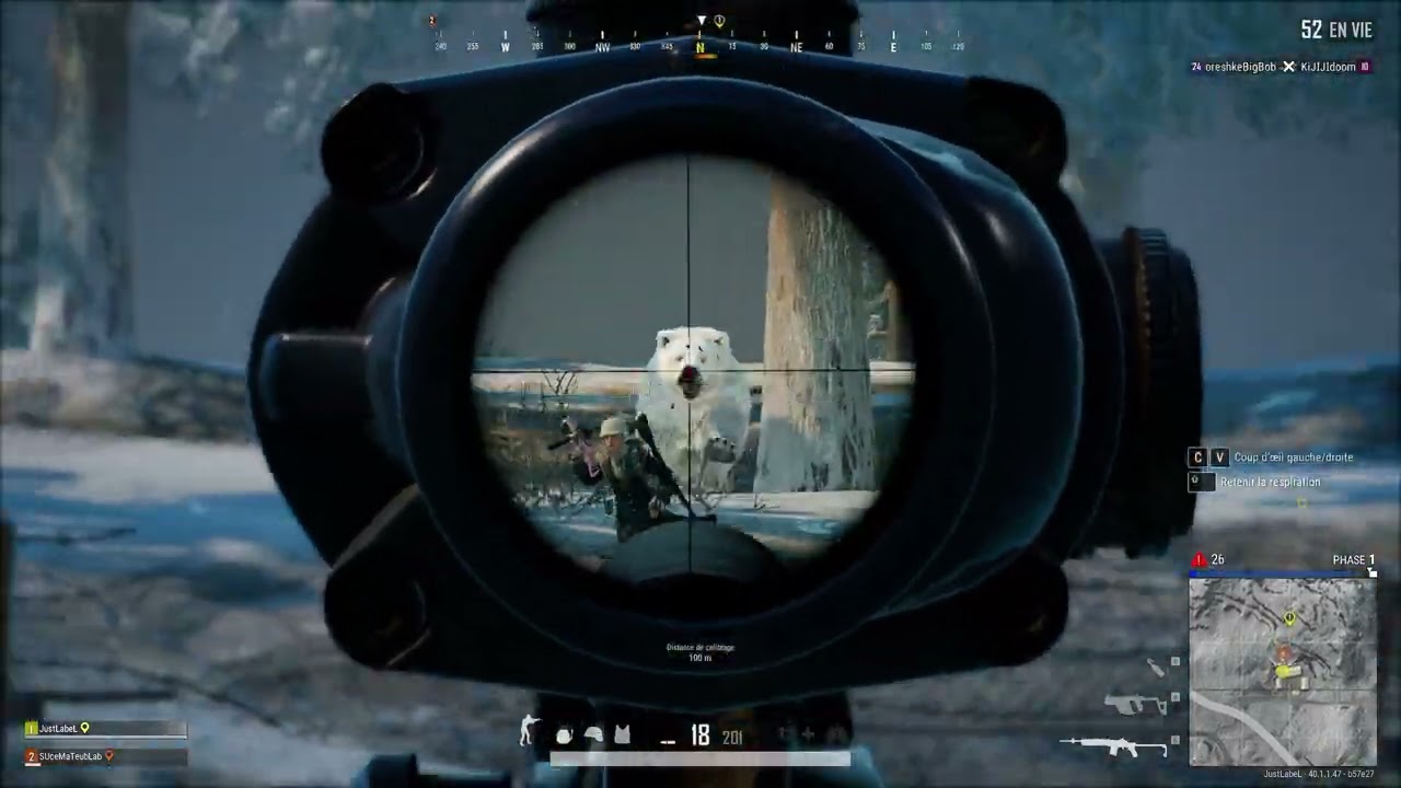UN OURS POLAIRE !! 😱🤣 (PUBG: Battlegrounds)