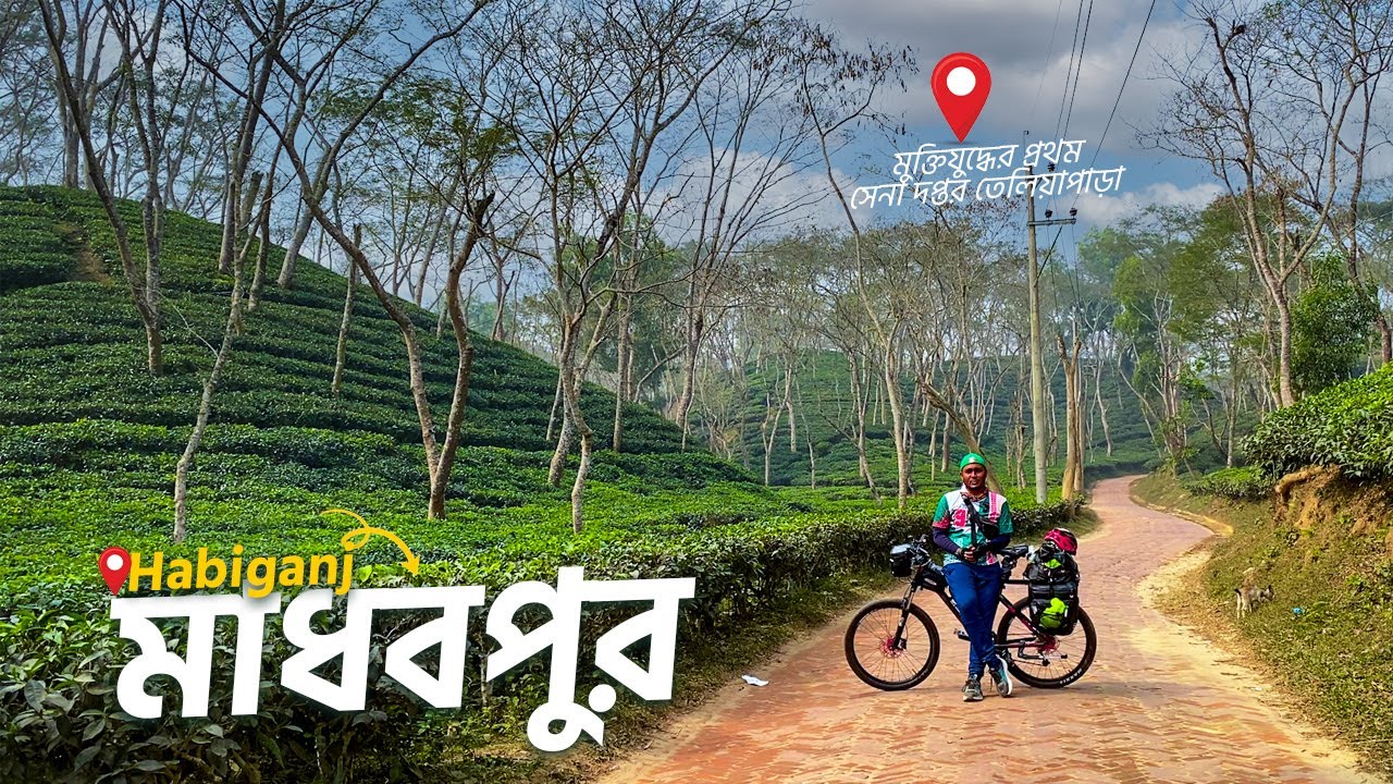 🇧🇩07/495 মাধবপুর উপজেলা | তেলিয়াপাড়া চা বাগান | মুক্তিযুদ্ধের প্রথম সেনা দপ্তর তেলিয়াপাড়া | হবিগঞ্জ