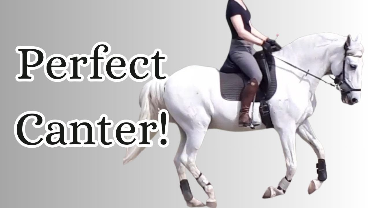 Canter Masterclass:  How to Ask for Canter, Sit in Canter and Ride the Canter in Balance