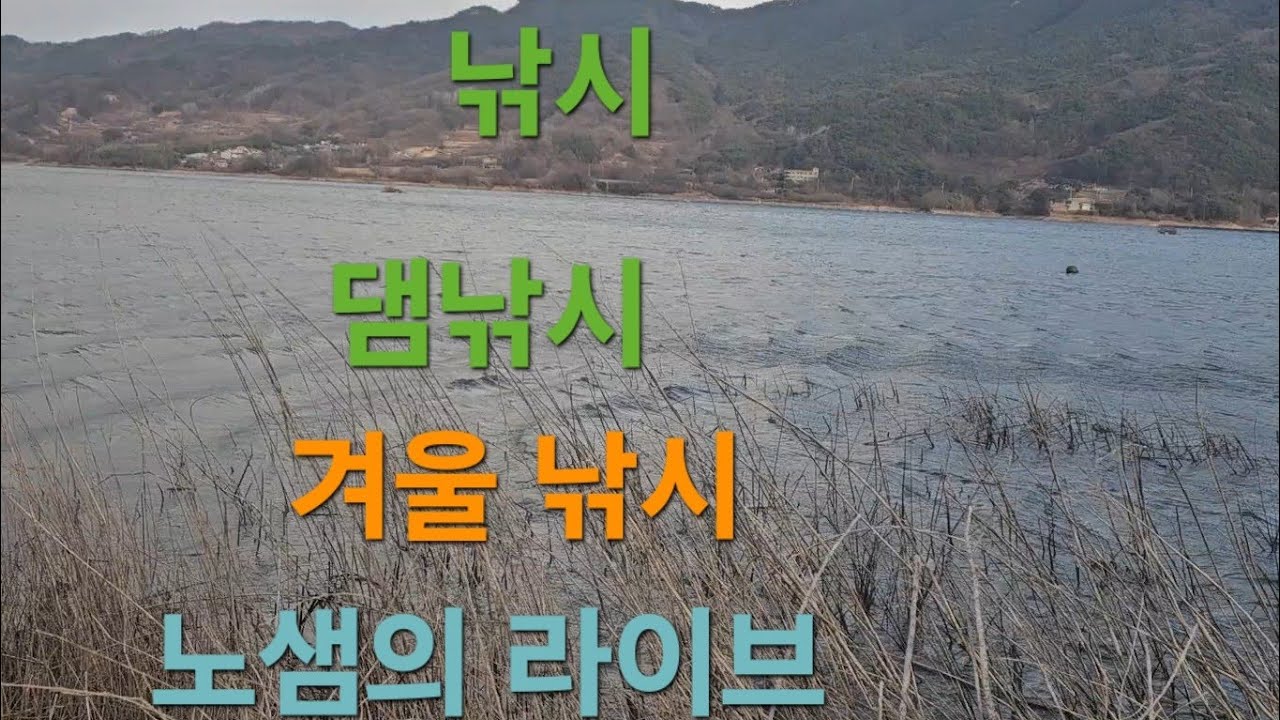겨울붕어 낚시/합천댐 낚시 라이브 스트리밍 중/#낚시 #fishing