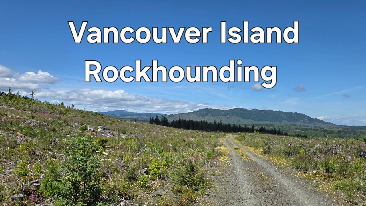 Vancouver Island Rockhounding!! Flowerstone Dallasite and Fossils!