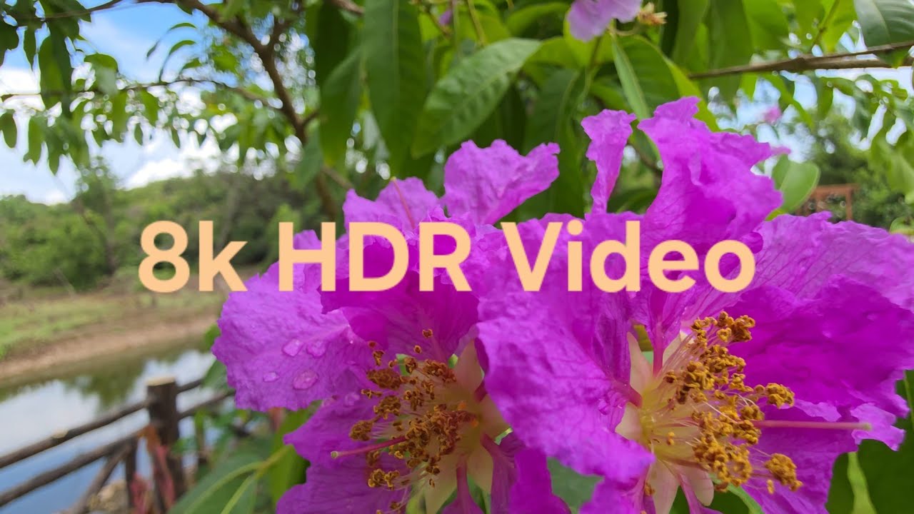 8K HDR VIDEO/URAN JNPT PORT ⛴️
