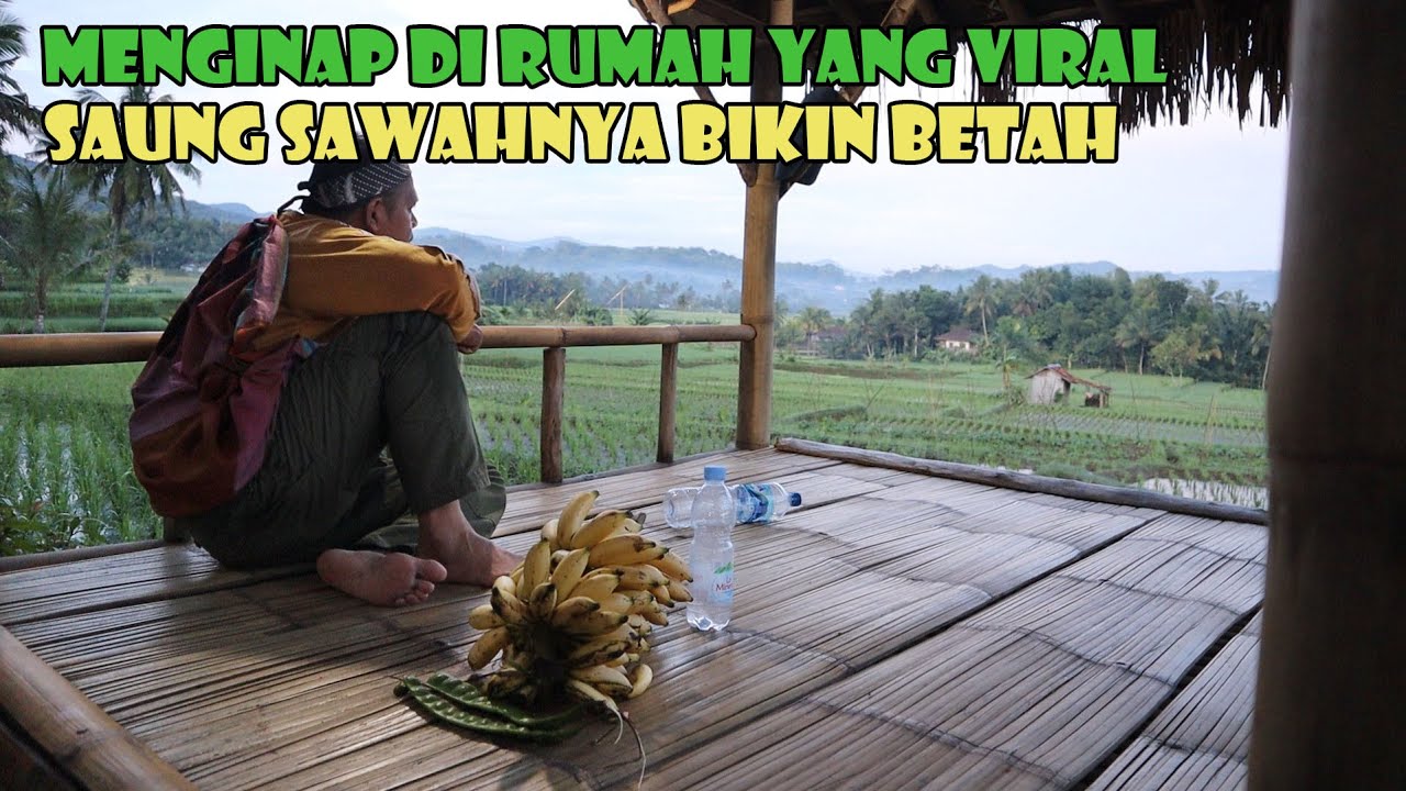 Menginap Di Rumah Yang Sempat Viral l Jauh Dari Kebisingan l Saung Sawahnya Bikin Betah.