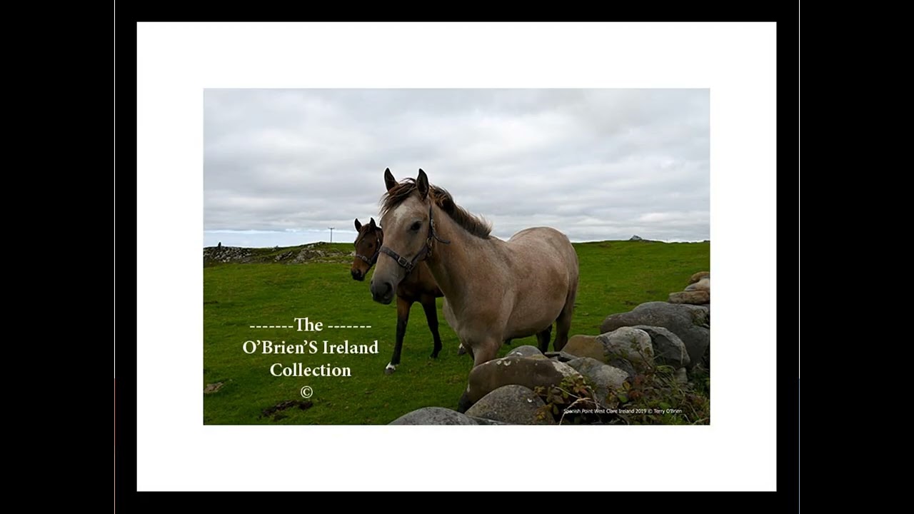 Wild Horses West Clare Spanish Point County Clare 2019