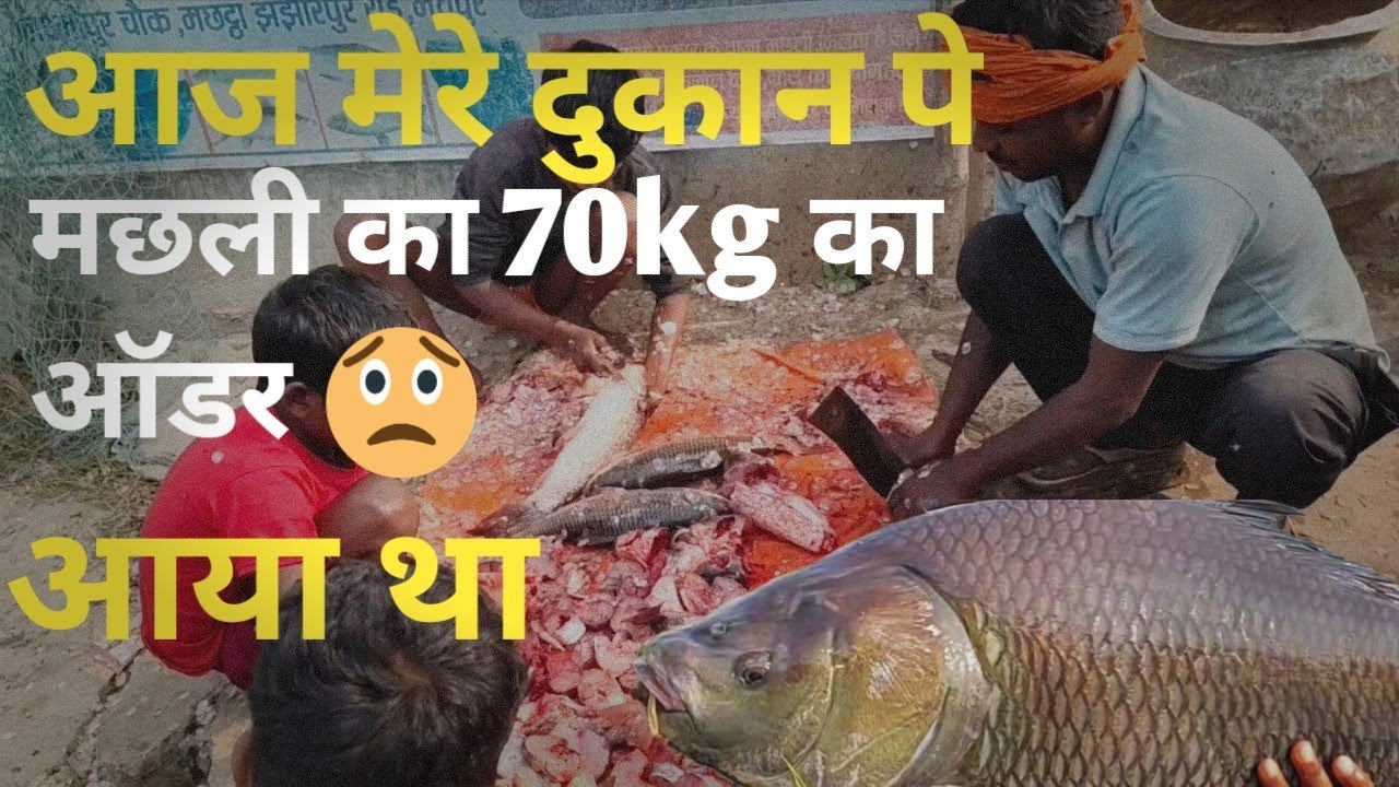 आज मेरे दुकान पे 70kg मछली कट रहा है || Today 70kg of fish is being cut at my shop. #fishing