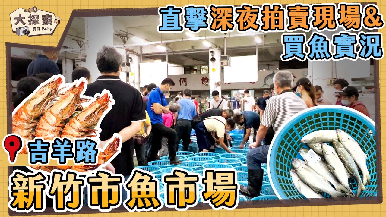 【漁港走透透 Fishing Harbor Tales】#57 深夜的新竹魚市場買魚時間及拍賣實況｜Fishing Port & Seafood ｜EP_151