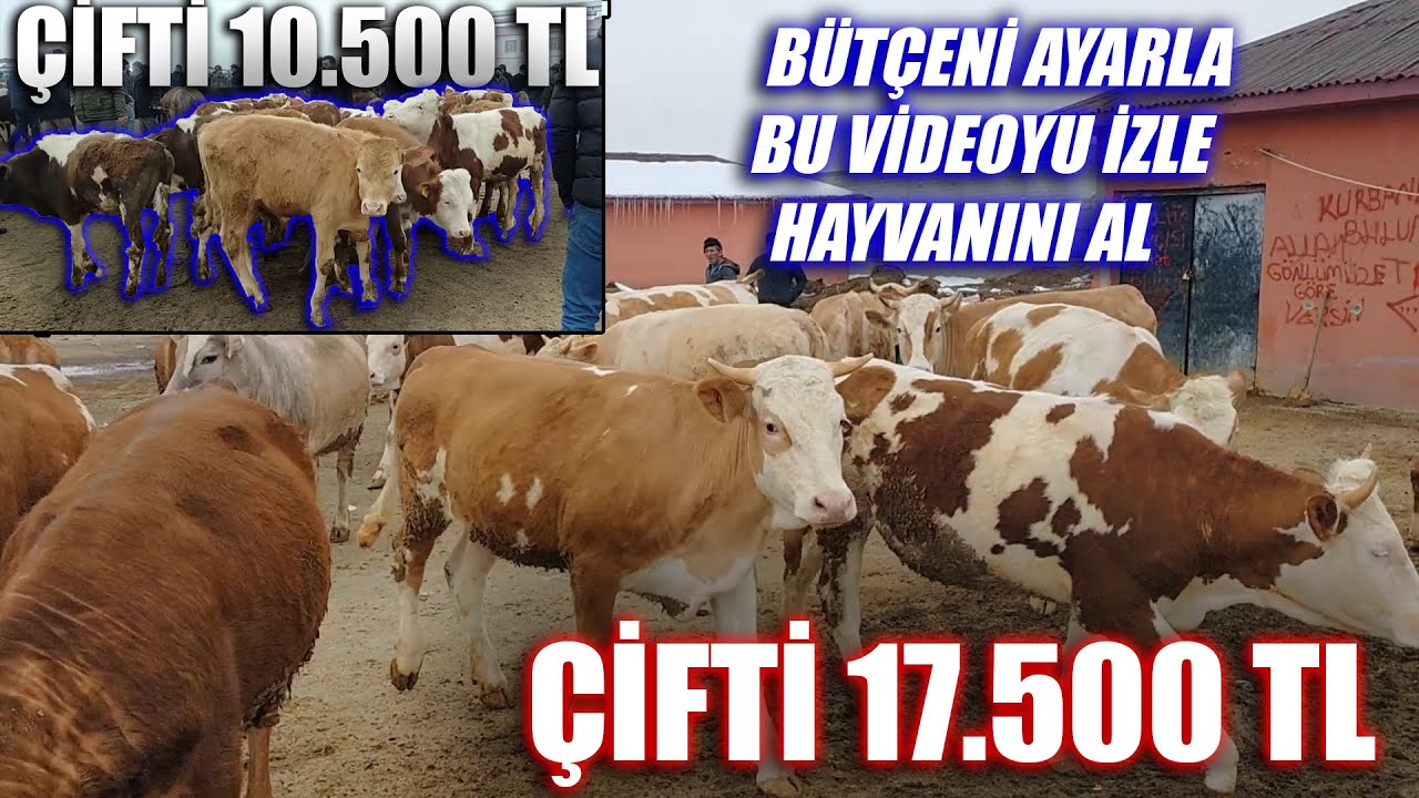 AĞRI MALLARI BENİ ŞAŞIRTTI !!!