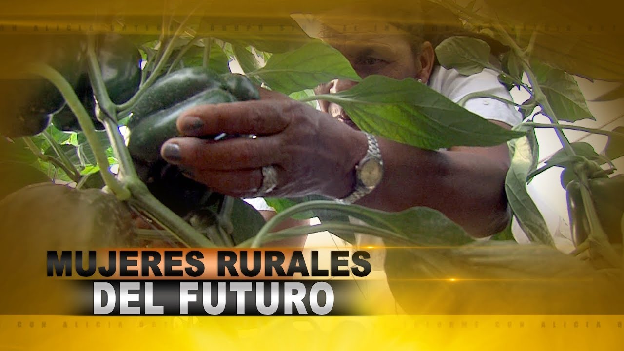 #ElInforme: De amas de casa a empresarias (1/4)