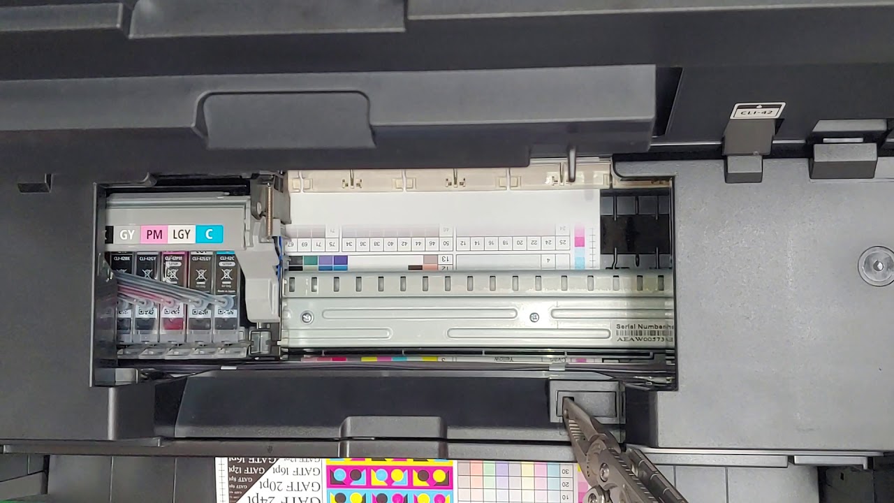 canon pro-100 ciss (2)