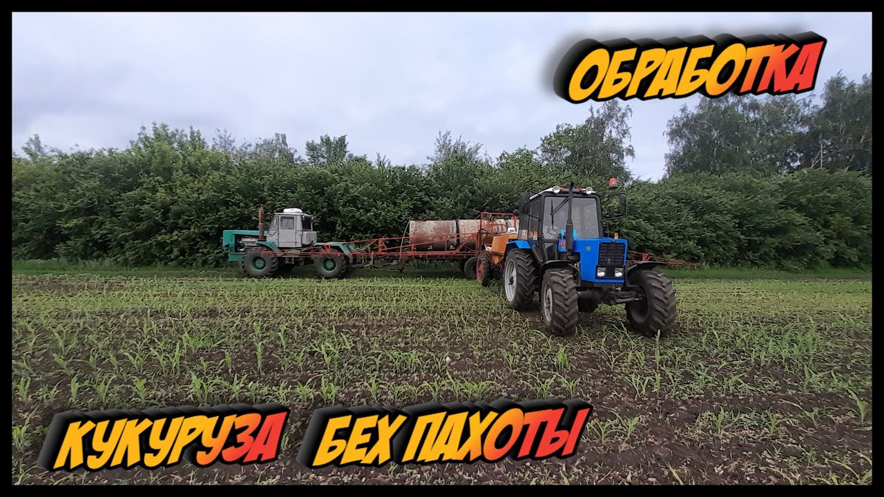 ПОСЕВ КУКУРУЗЫ ПО КУЛЬТИВАЦИИ БЕЗ ПАХОТЫ / ПЕРВАЯ ОБРАБОТКА