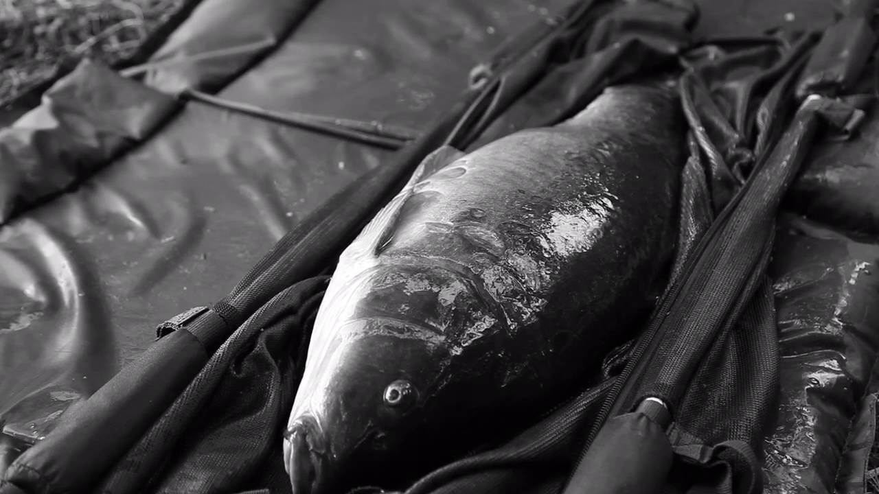 Mesters weekender.. carp fishing