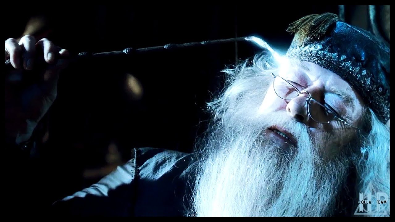 Harry Potter - What I've Done
