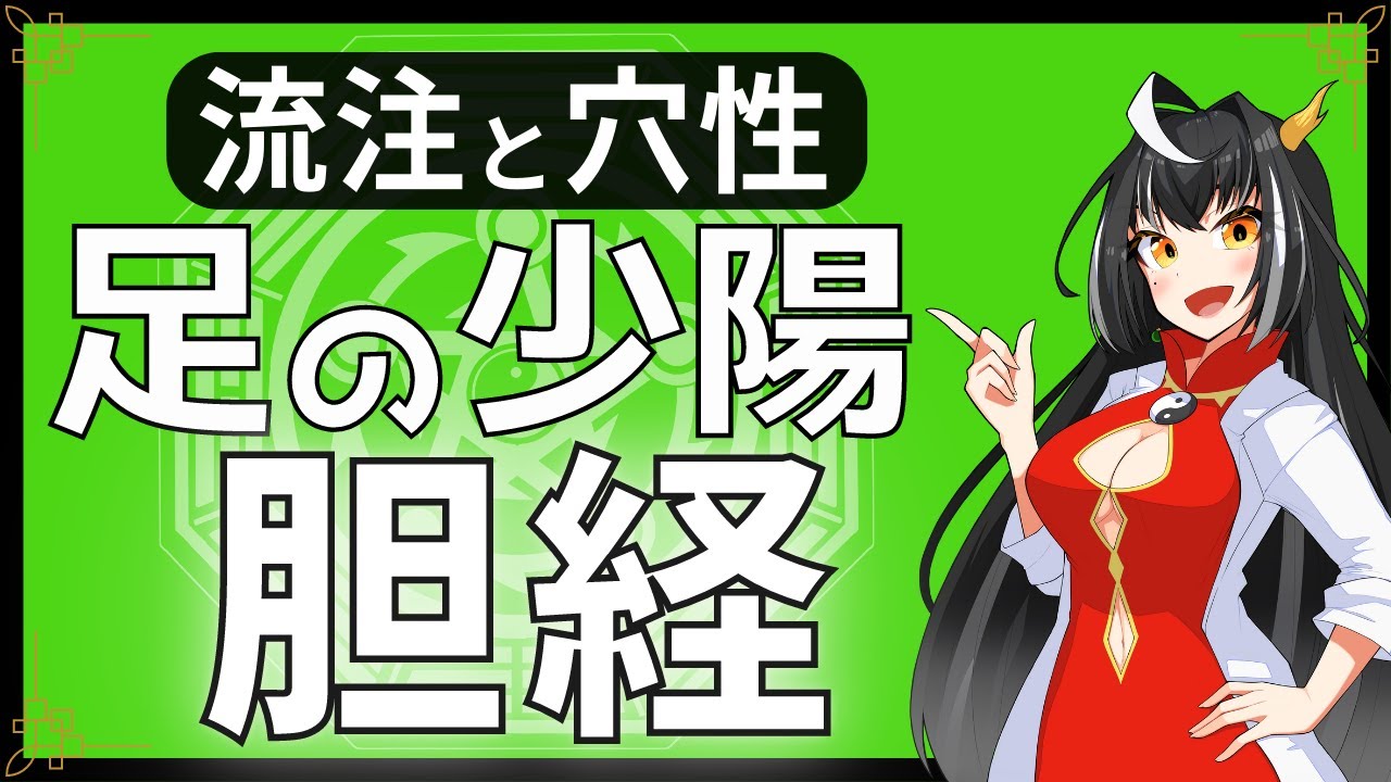 【経絡経穴】１１分で分かる足の少陽胆経の流注と穴性【東洋医学】