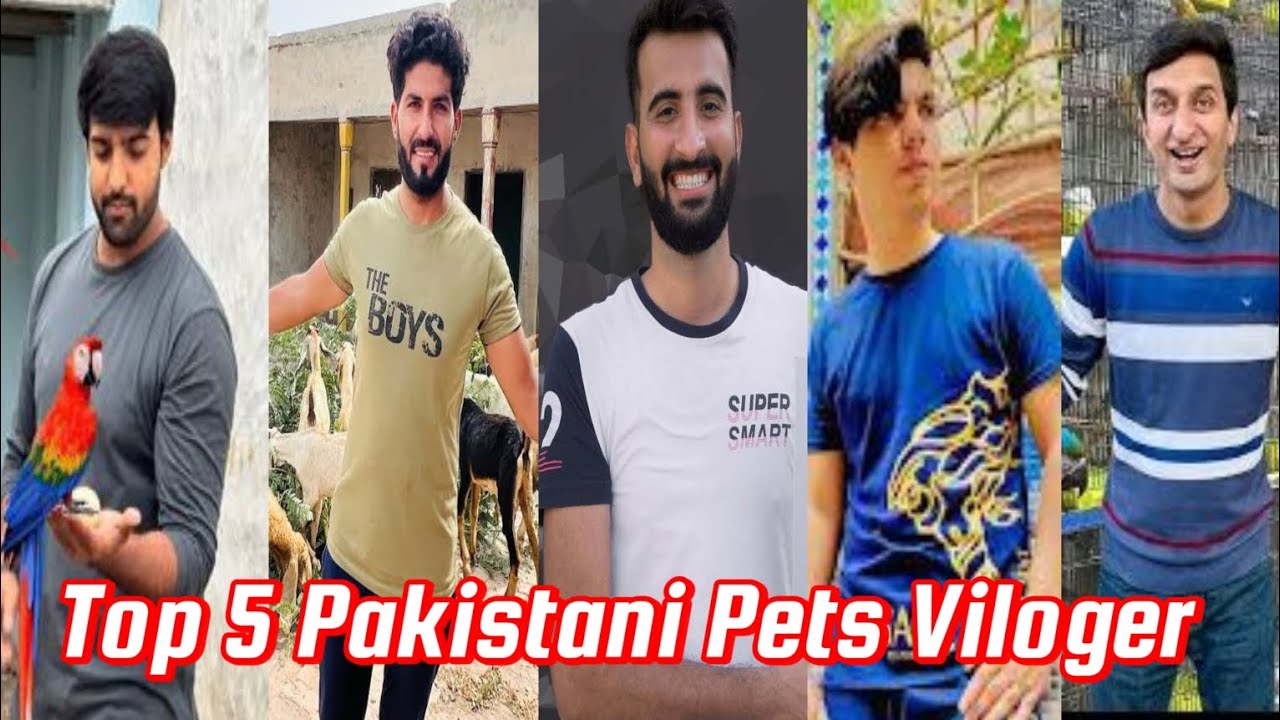 Top 5 Pakistani Pets Viloger || Top 5 Pakistani Bird Animal Viloger || #pets  ||
