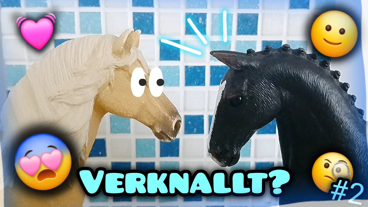 Gezwungener Date????⁉️☺️🙂😨 Schleich Pferde Film