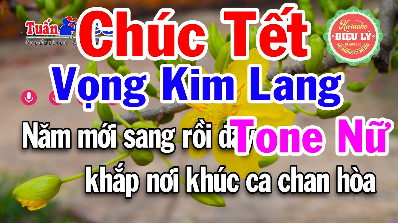 Karaoke Chúc Tết 2026 - Vọng Kim Lang Tone Nữ - Điệu Lý Cải Lương