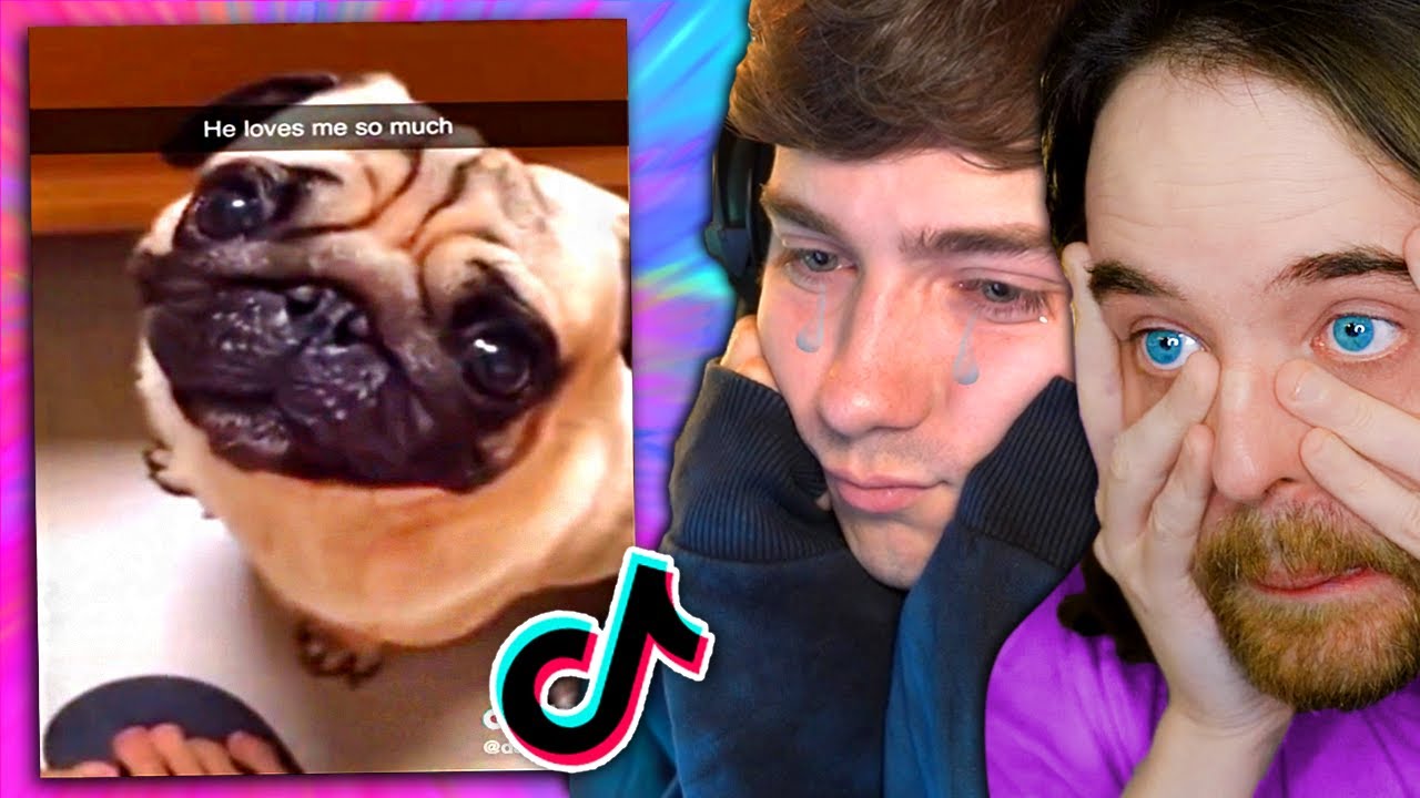 TIKTOKS, bei denen Mexify anf&auml;ngt zu weinen