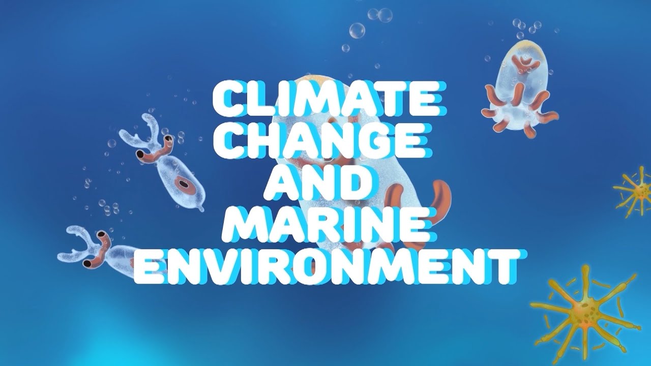 climate change & marine environment