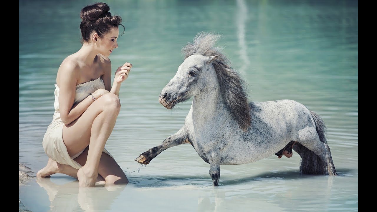 The most beautiful horses of the world Самые красивые лошади мира YouTubeFotoVideo