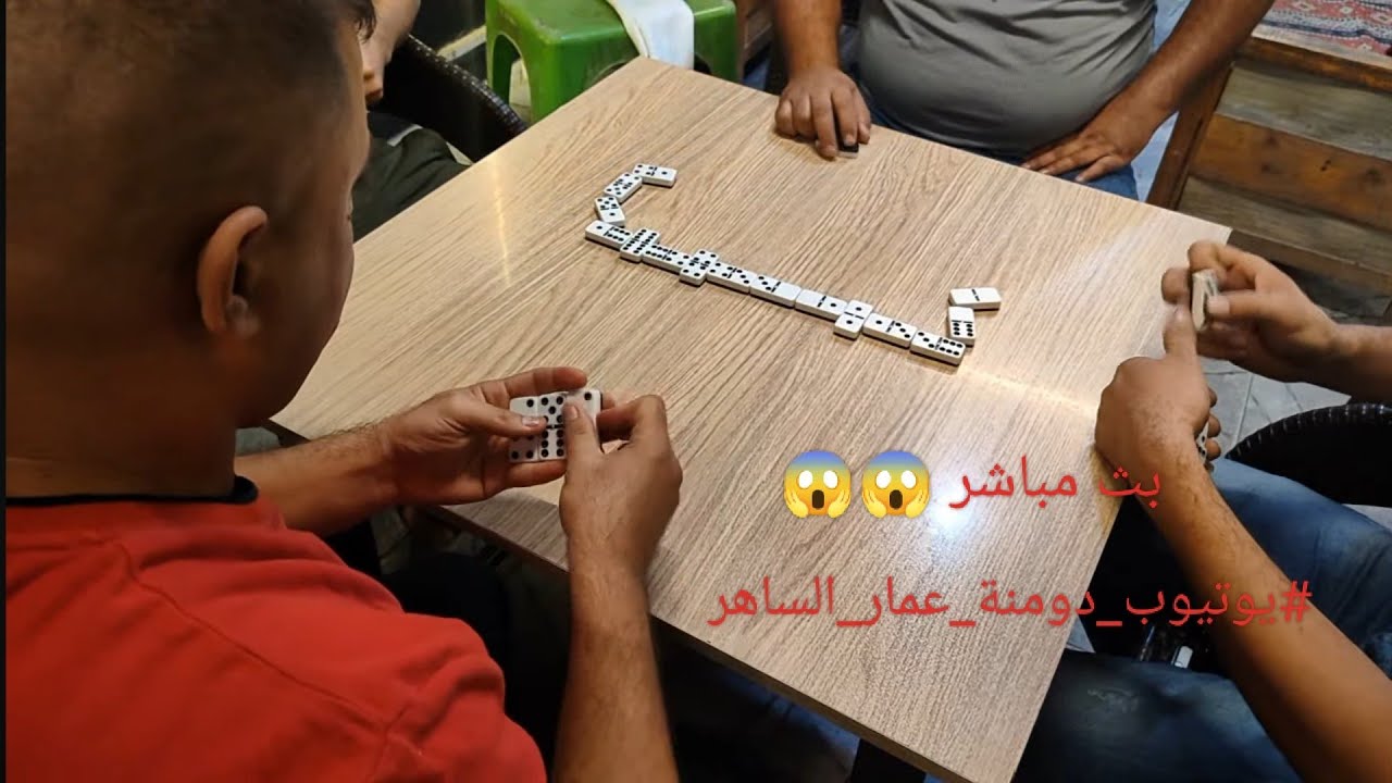 دومنة عمار الساهر بث مباشر لاول مرة بالقناة Domino