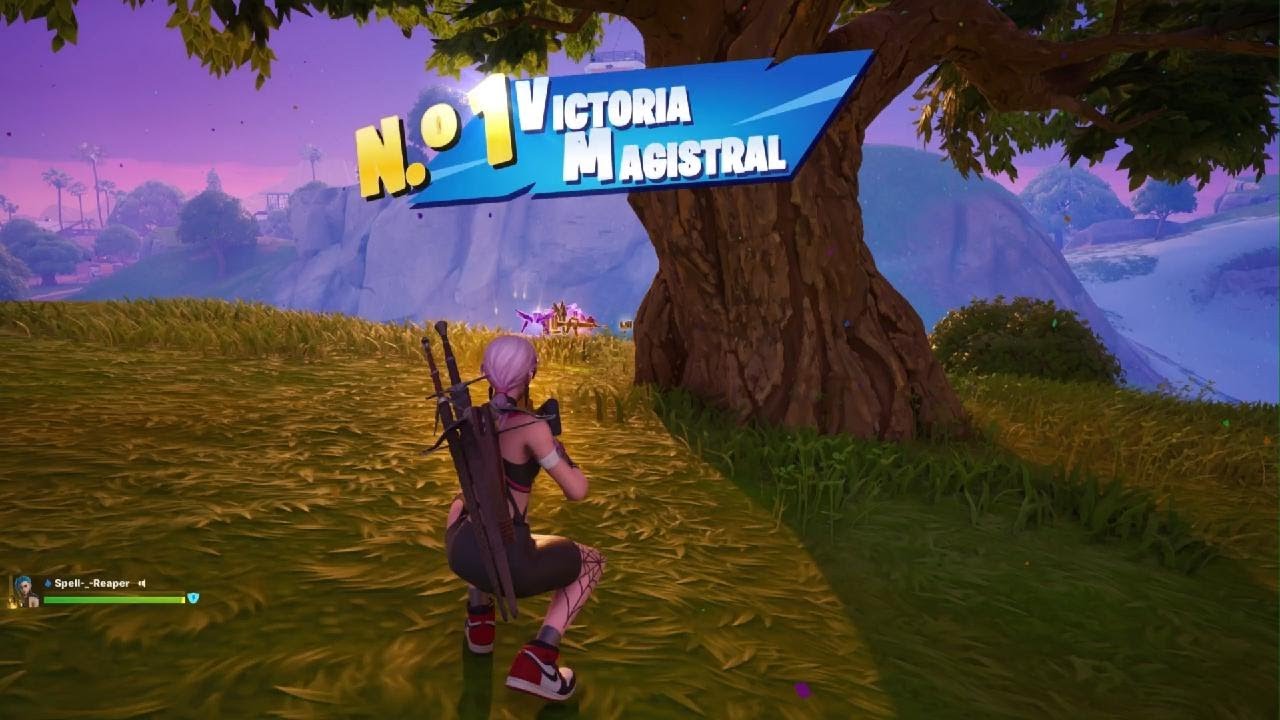 Fortnite_Dúos_Has quedado Nº1 (16 Eliminaciones / 6 propias)
