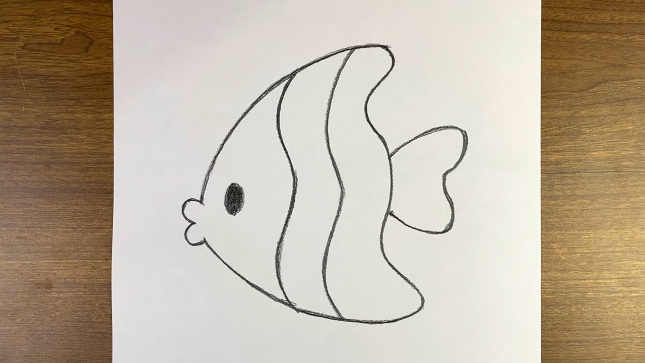 Easy fish drawing for beginners and anime fans . How to draw fish step by step 