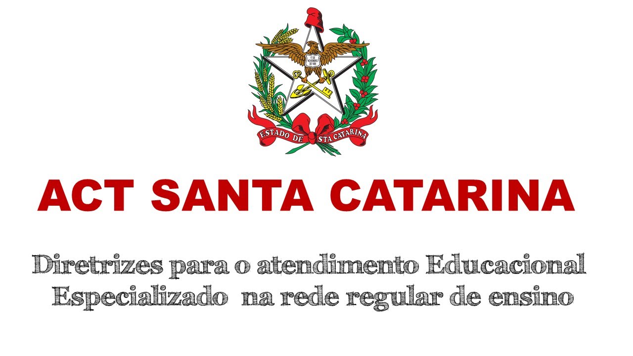 Diretrizes Curriculares para o AEE I Educação Especial