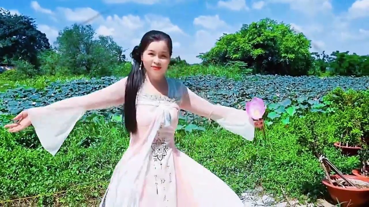 🌸Doanh Doanh Phù Dung Ngữ | 盈盈芙蓉语🌸