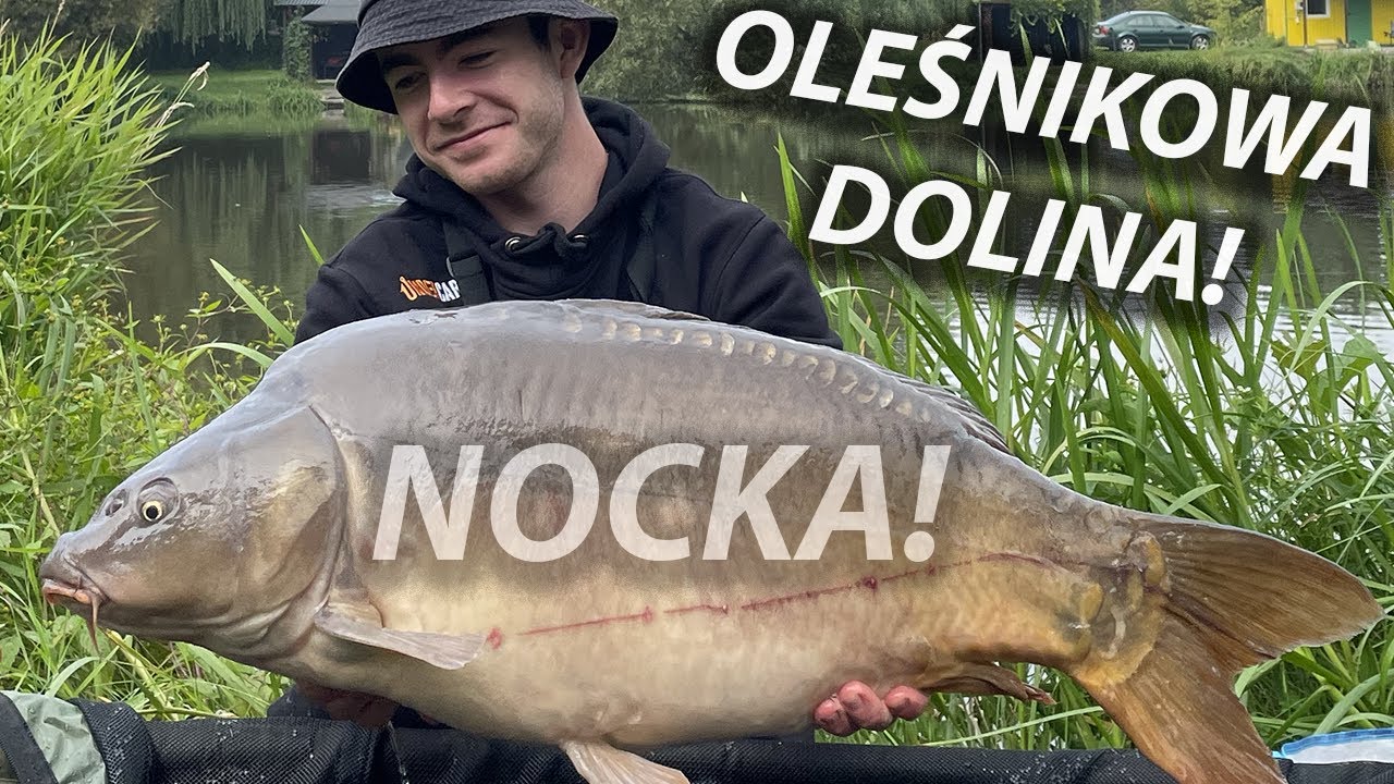 NOCKA! PIĘKNE KARPIE I AMUR Z OLEŚNIKOWEJ DOLINY!