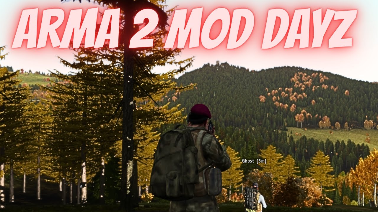 ARMA 2 MOD  DAYZ