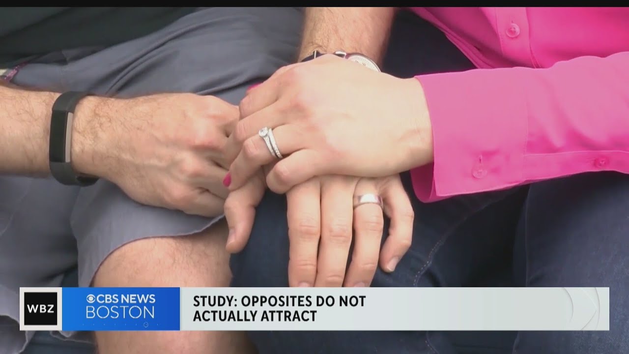 Do opposites actually attract? Research says no