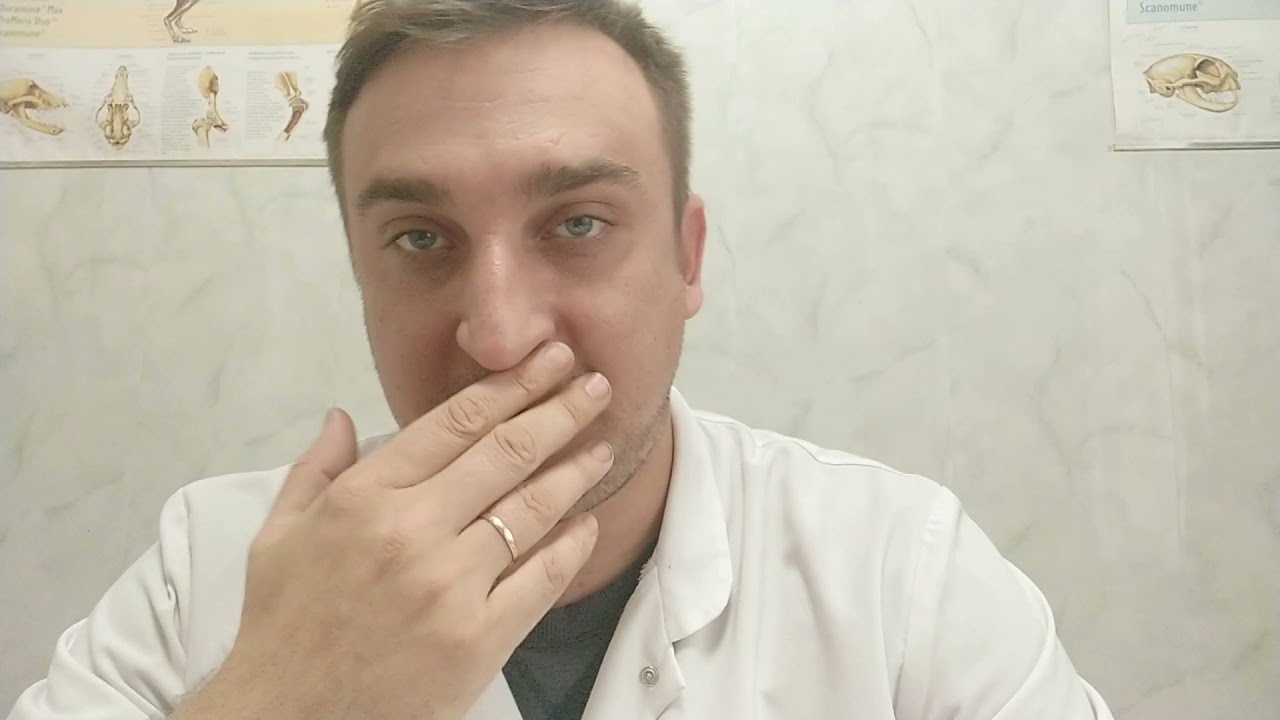 Болезнь Ньюкасла