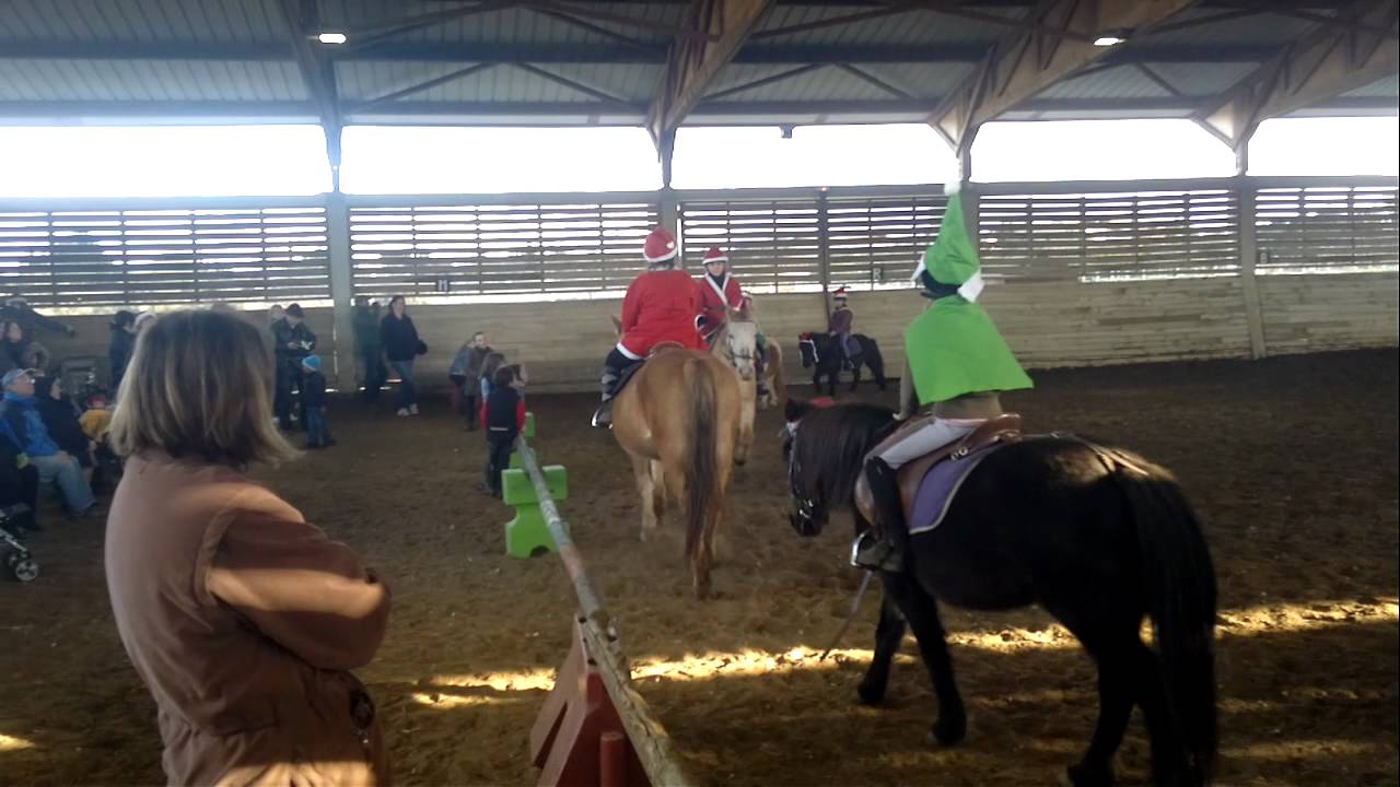 Spectacle de Noel Centre equestre de Mejanne Le Clap 2011