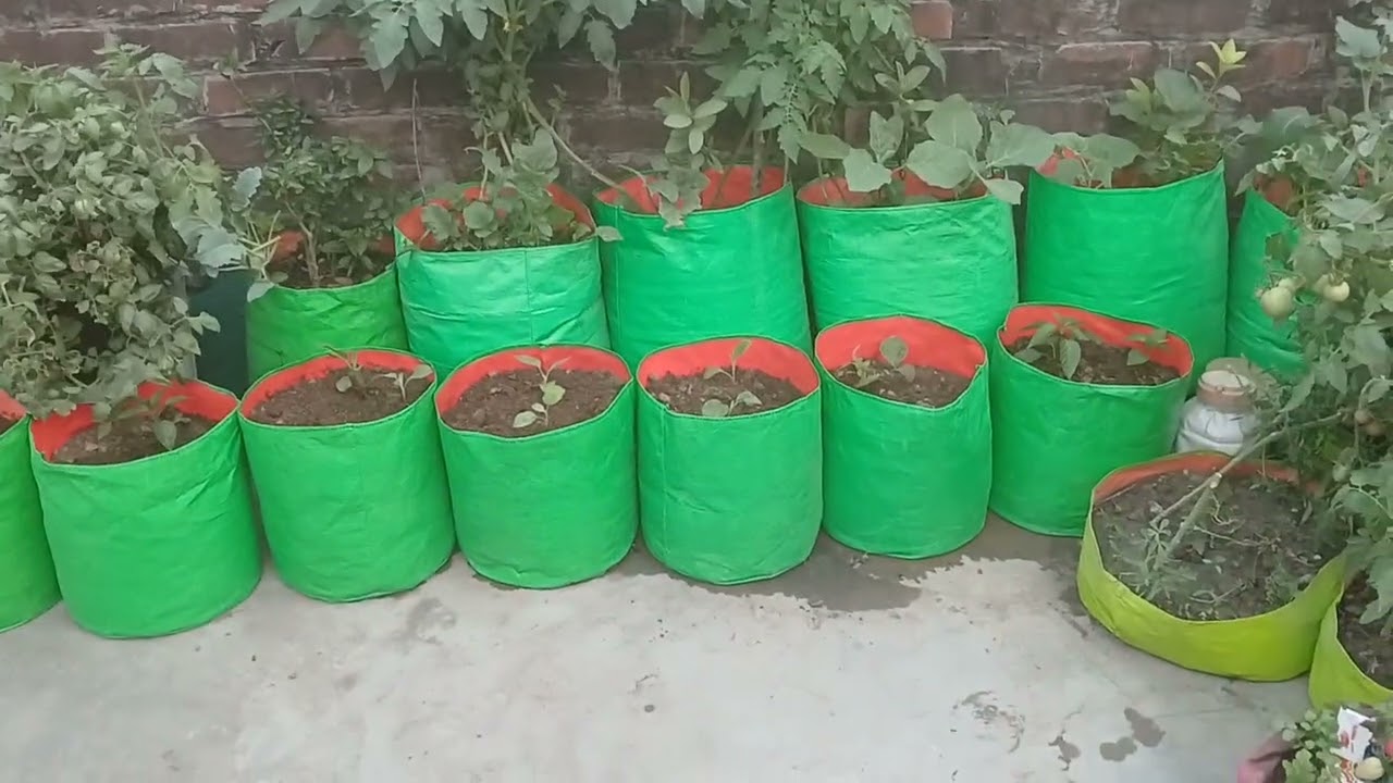 HAMARE TERRACE GARDEN  KA LOOK