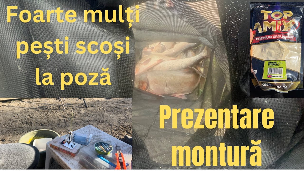 “CHINEZII” LOVESC DIN NOU💪🏻 Cea mai eficientă  montură pentru FITOFAG 😱  LOCAȚIA in privat