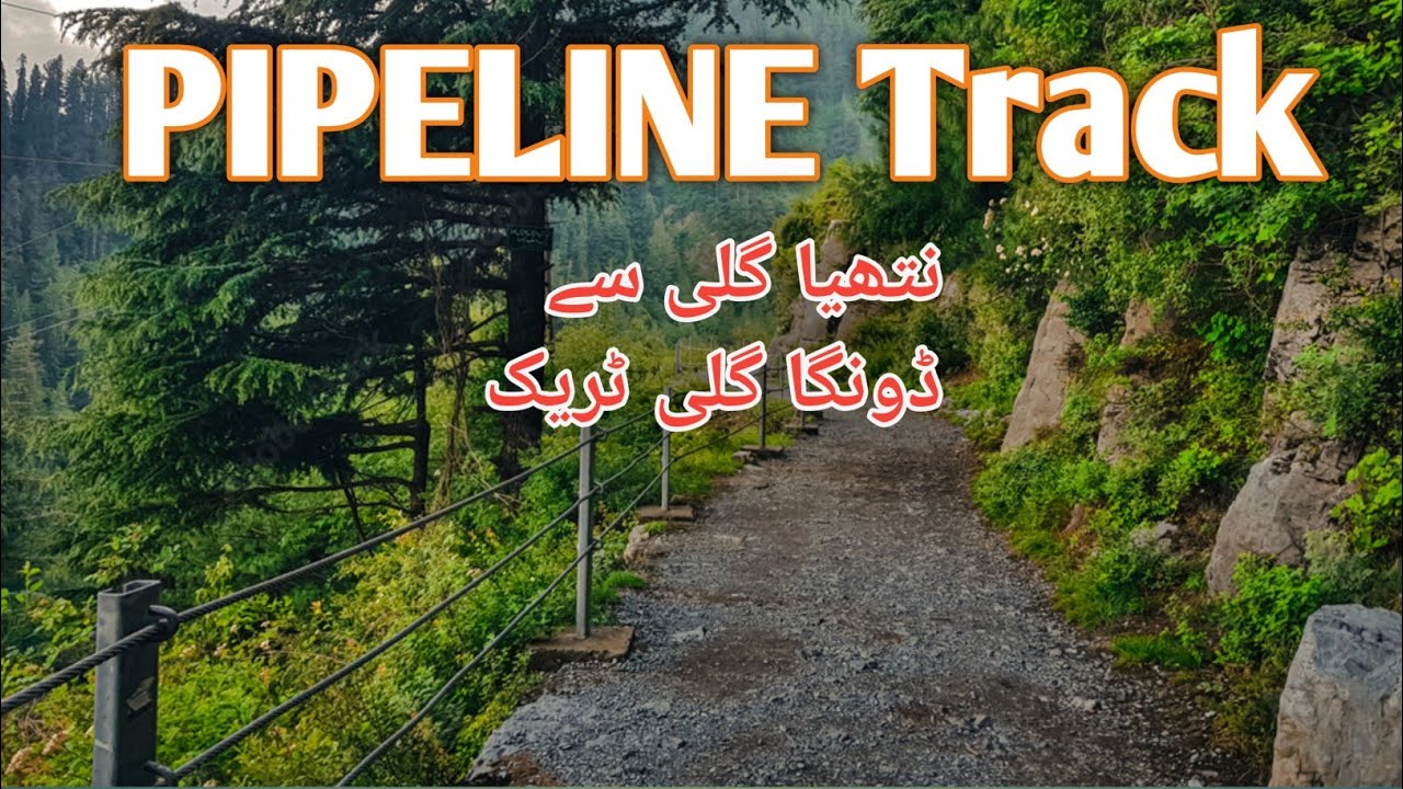 Pipeline Track Nathia Gali / Travel Pakistan / Ayubia National park / Pakistan winter Travel Guide