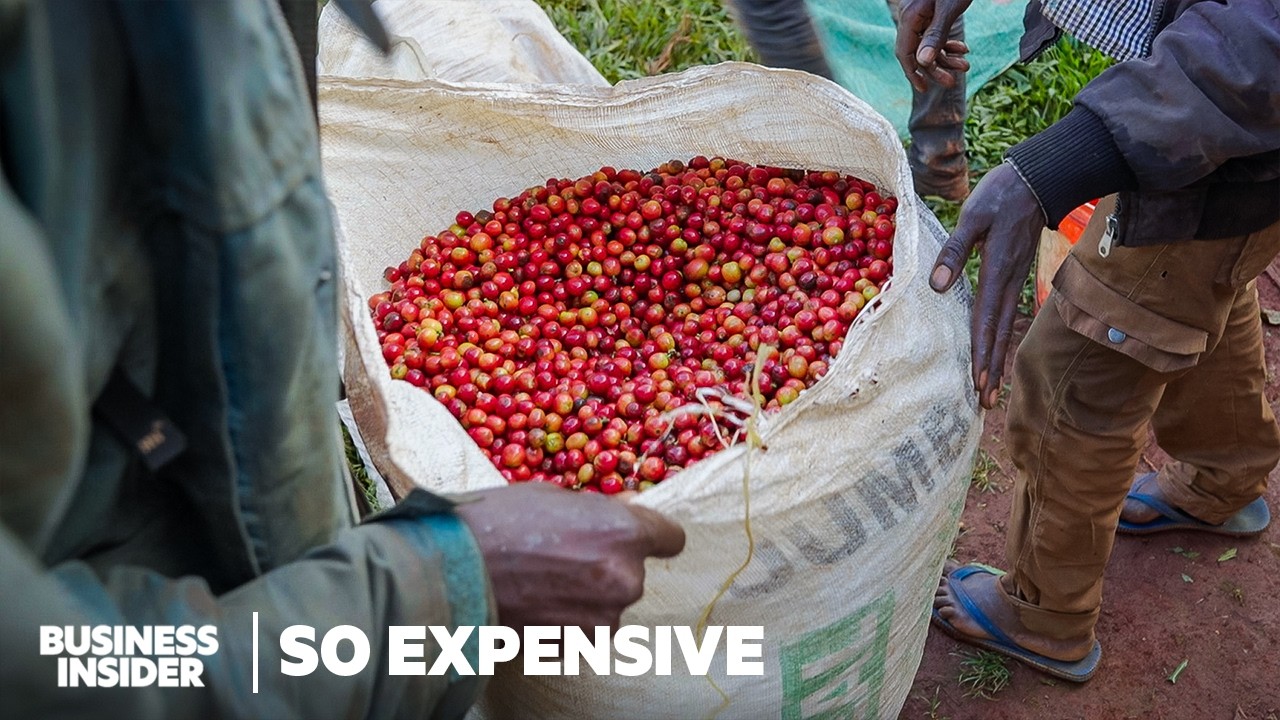 Why Single-Origin Coffee Is So Expensive | So Expensive | Business Insider