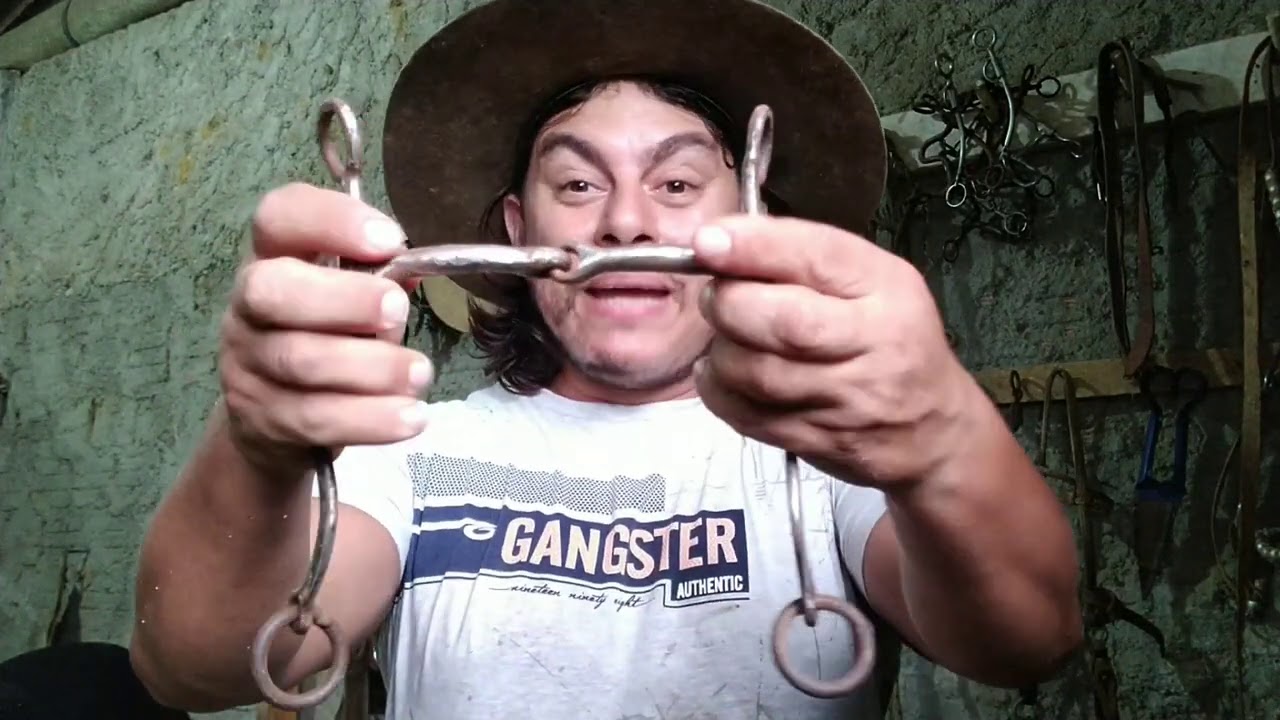 Papo de Cocheira..... Freio Bridão