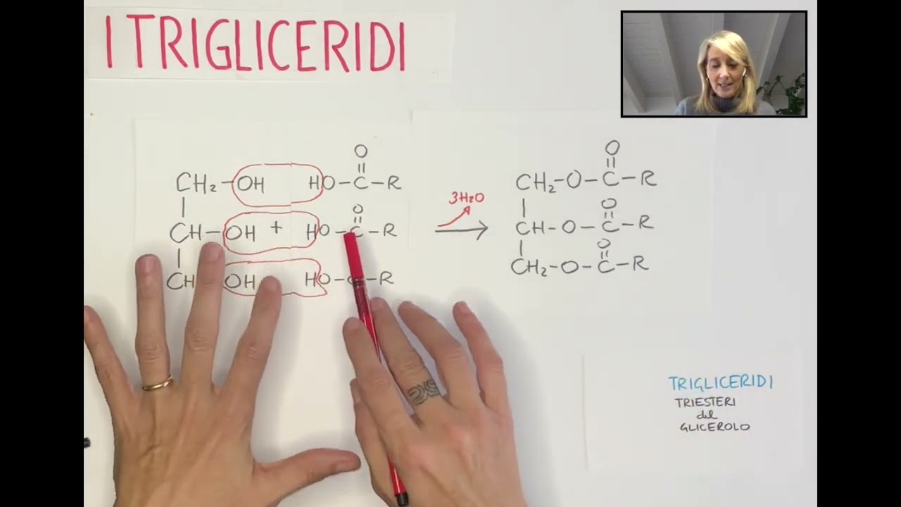 Lipidi: i trigliceridi