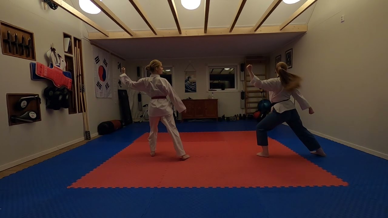 Finale - Barsnes, Majewski - Pal Jang