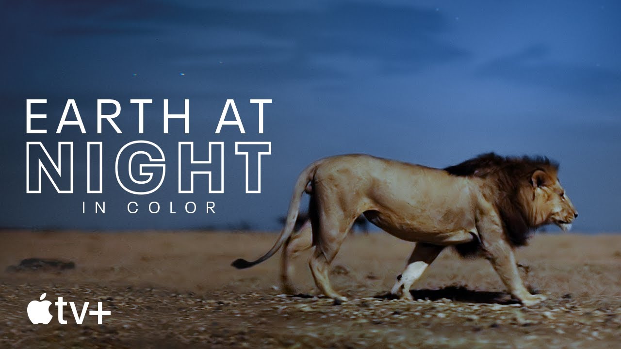 Planeta nocturno: a todo color — Tráiler oficial | Apple TV+