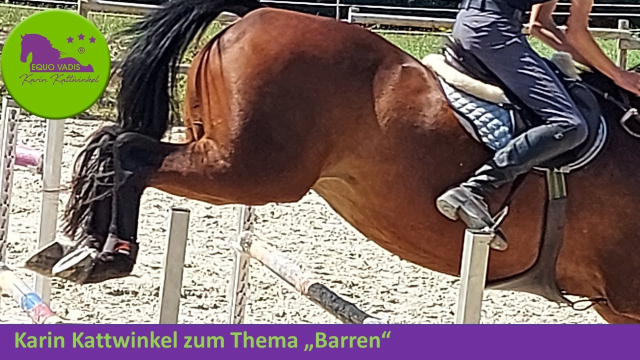 Aff&auml;re Barren | Qu&auml;lt Ludger Beerbaum Pferd? | Karin Kattwinkel