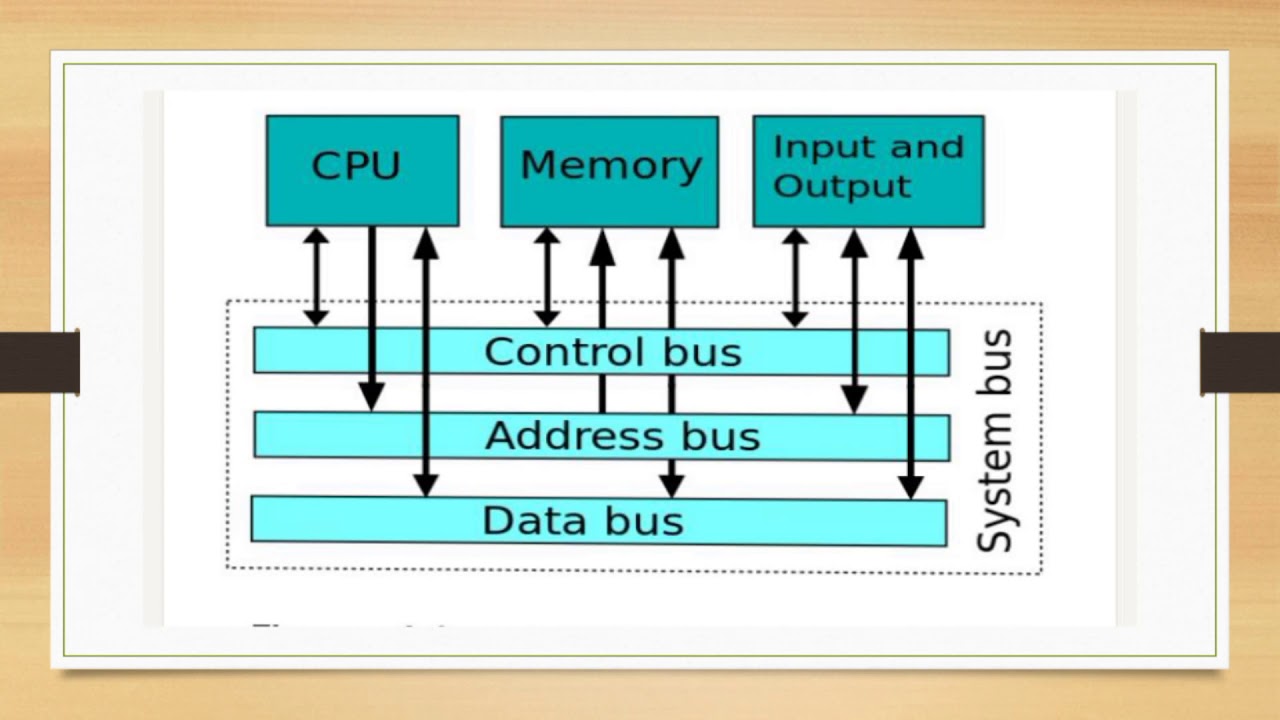 Bus and Bay, Control Bus, Data Bus, Serial Bus, External Buses, External Bays